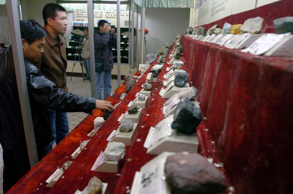 1xBET图片展示